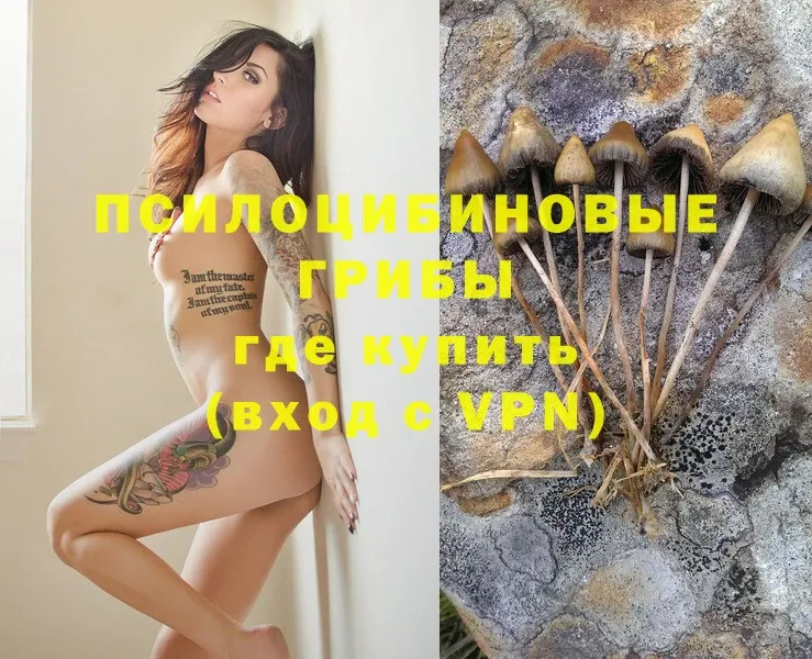 Галлюциногенные грибы Magic Shrooms  Куртамыш 